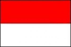 Indonesia New DVB-T2 Receiver
