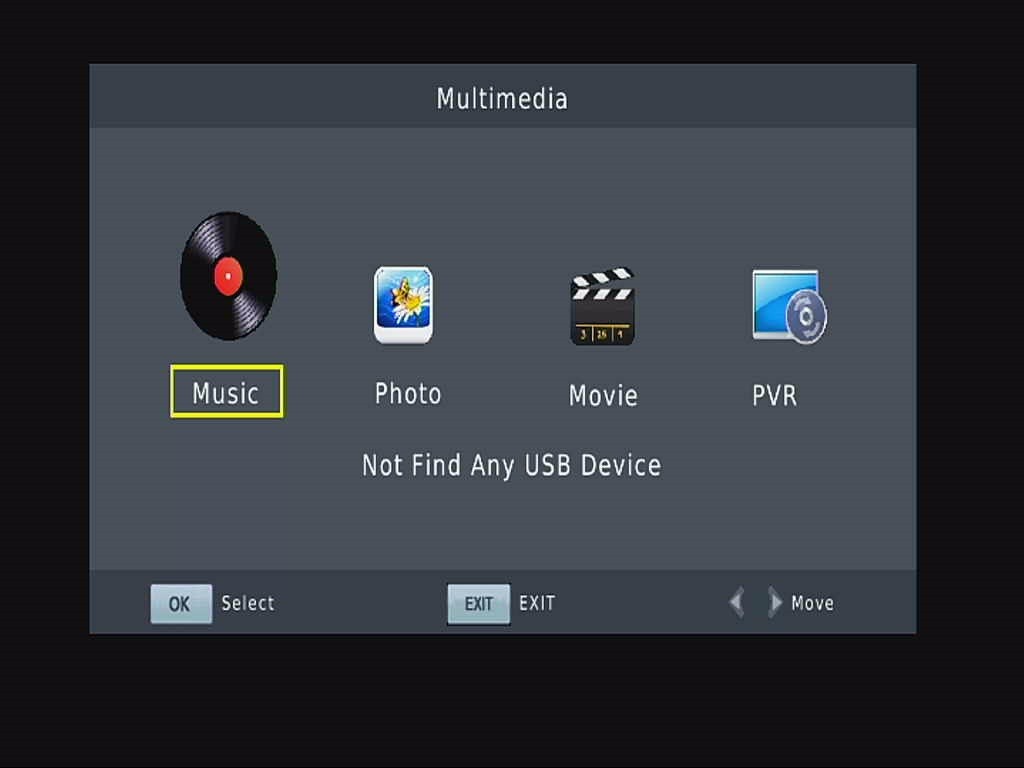 ISDB-T multimedia playback