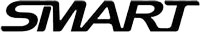 smart