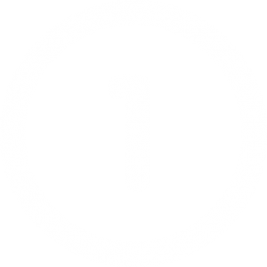 China Dropshipping Agent 7