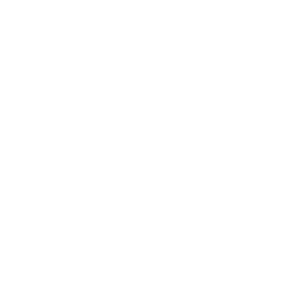 China Dropshipping Agent 12