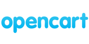 China Dropshipping Agent 15