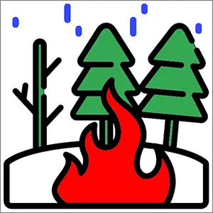 long range wireless video transmitter for forest fire prevention use 300